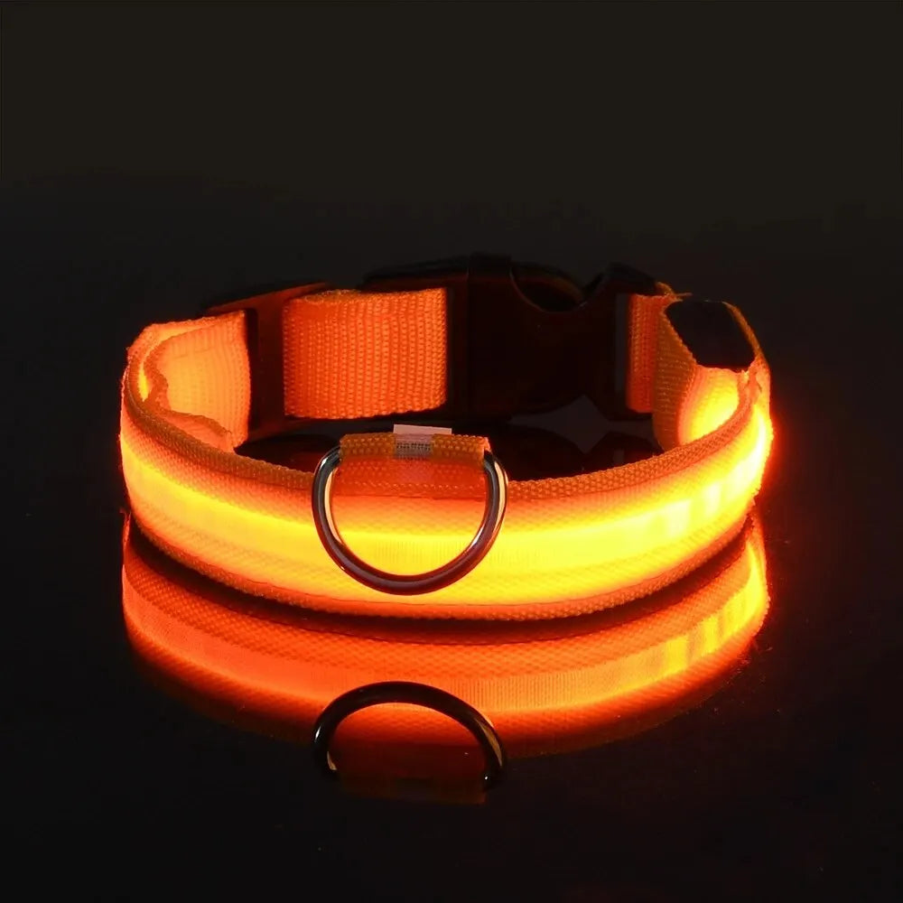 ✨ Paw Haven™ GlowGuard Collar