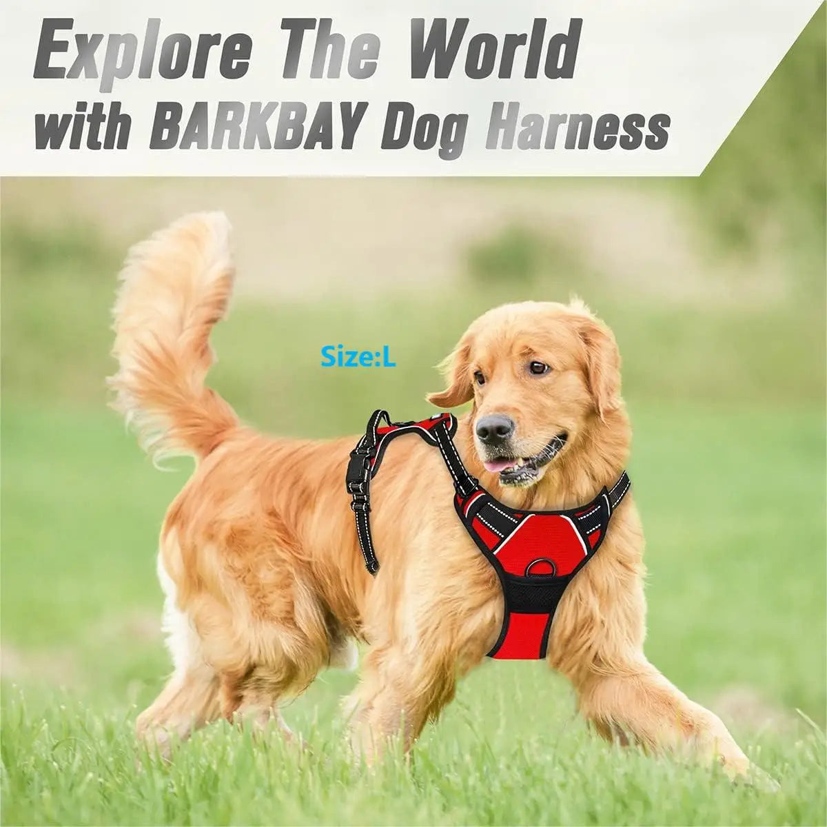 Paw Haven™ ReflectPro Harness