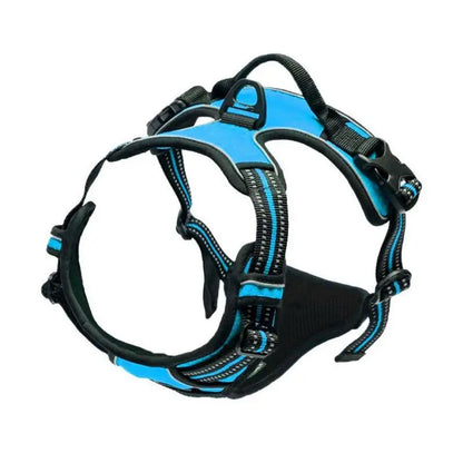 Paw Haven™ ReflectPro Harness