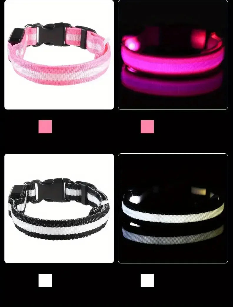 ✨ Paw Haven™ GlowGuard Collar