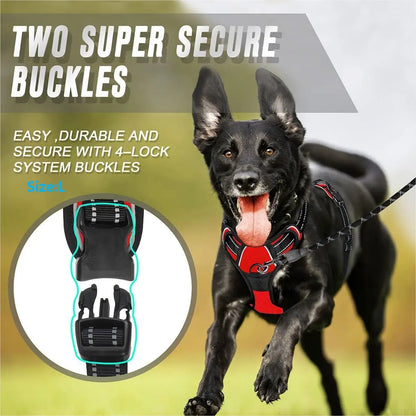 Paw Haven™ ReflectPro Harness