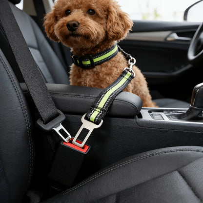 🐾 Paw Haven™ Travel Safety Belt