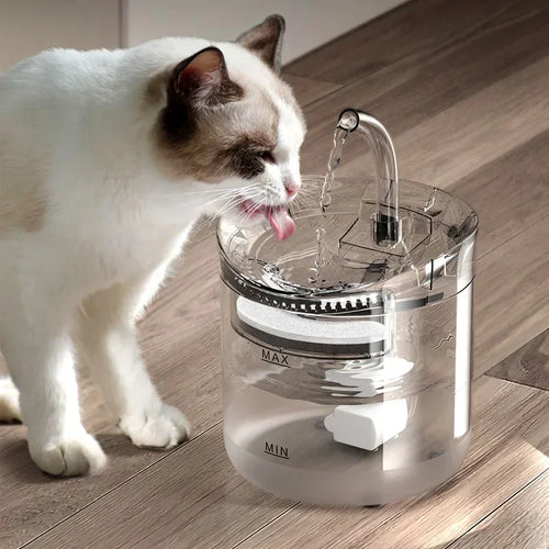 Paw Haven™ AquaFlow Fountain