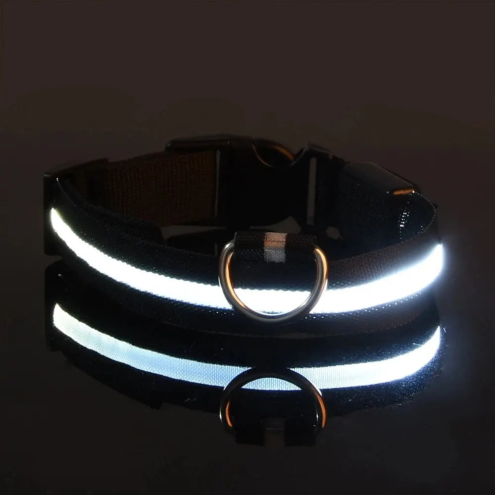 ✨ Paw Haven™ GlowGuard Collar