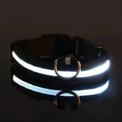 ✨ Paw Haven™ GlowGuard Collar