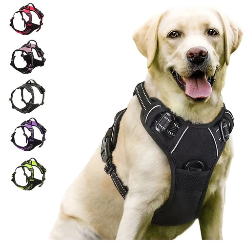 Paw Haven™ ReflectPro Harness