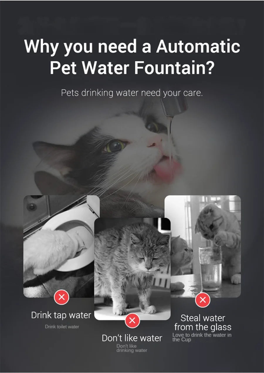 Paw Haven™ AquaFlow Fountain