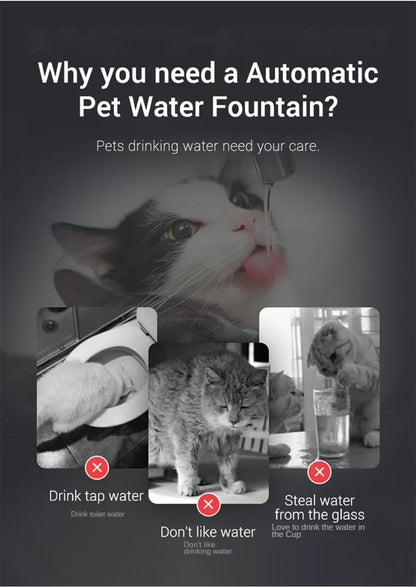 Paw Haven™ AquaFlow Fountain