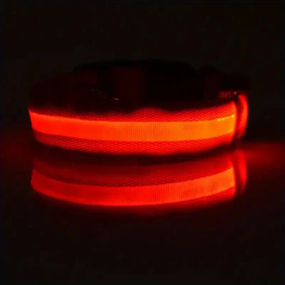 ✨ Paw Haven™ GlowGuard Collar