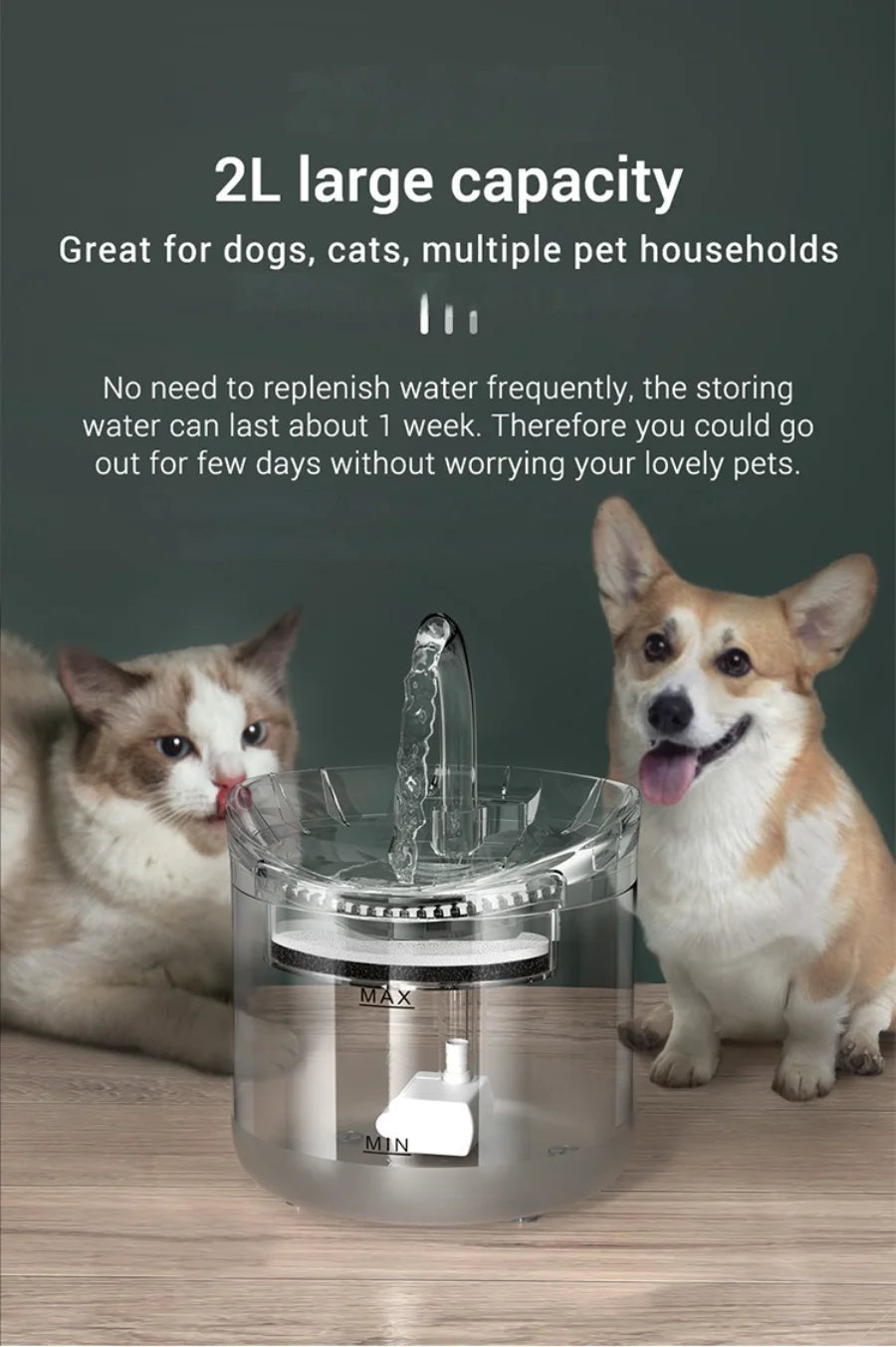 Paw Haven™ AquaFlow Fountain