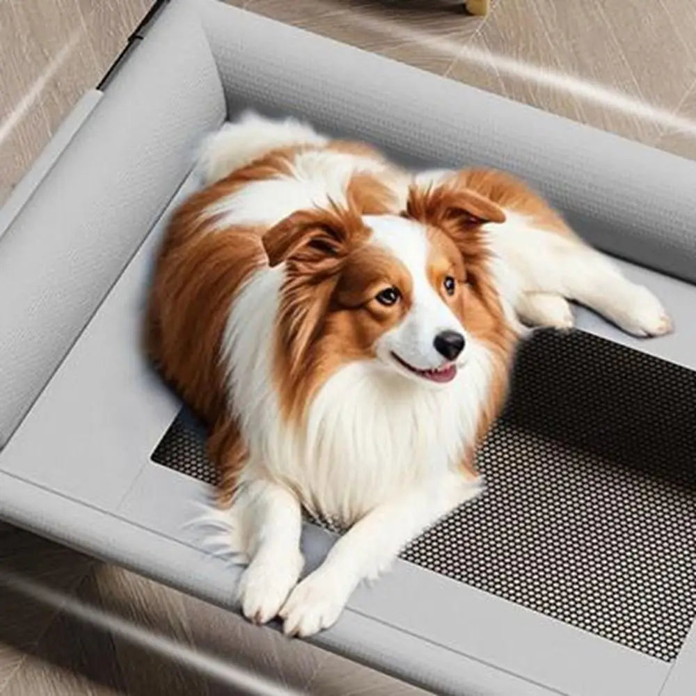 Paw Haven Elevated Pet Bed