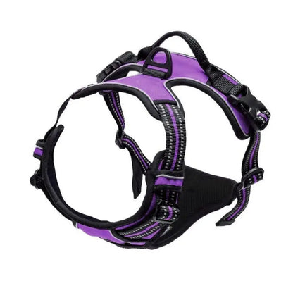 Paw Haven™ ReflectPro Harness