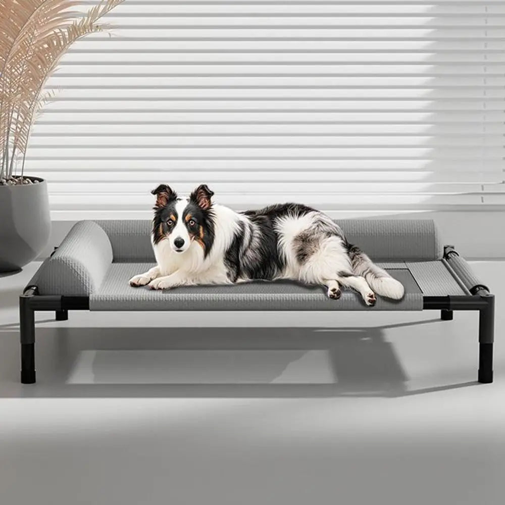 Paw Haven Elevated Pet Bed