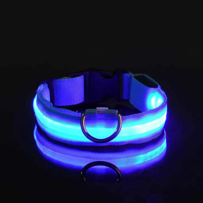 ✨ Paw Haven™ GlowGuard Collar