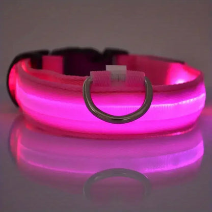 ✨ Paw Haven™ GlowGuard Collar