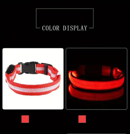 ✨ Paw Haven™ GlowGuard Collar