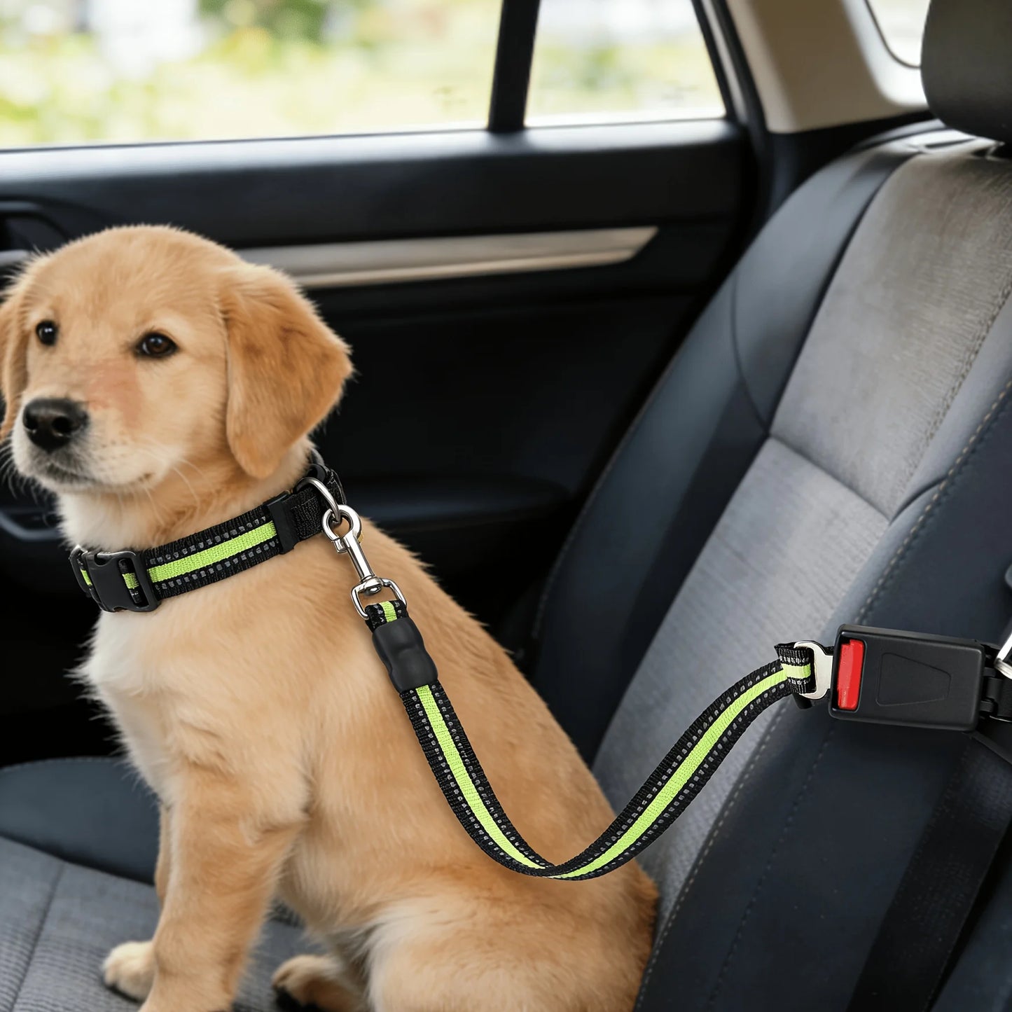🐾 Paw Haven™ Travel Safety Belt