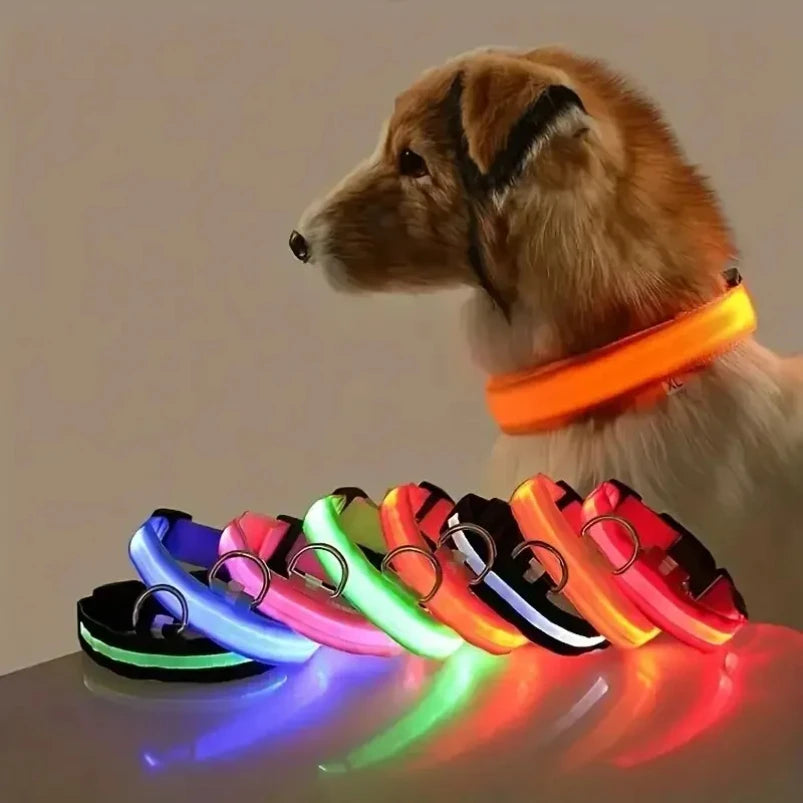 ✨ Paw Haven™ GlowGuard Collar
