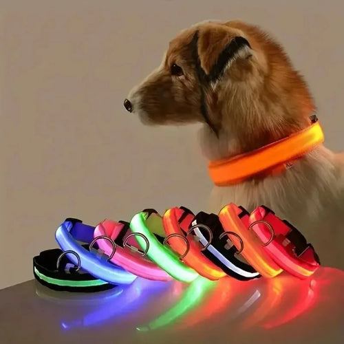 ✨ Paw Haven™ GlowGuard Collar