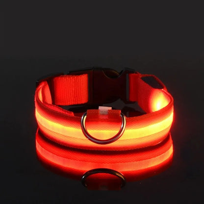 ✨ Paw Haven™ GlowGuard Collar
