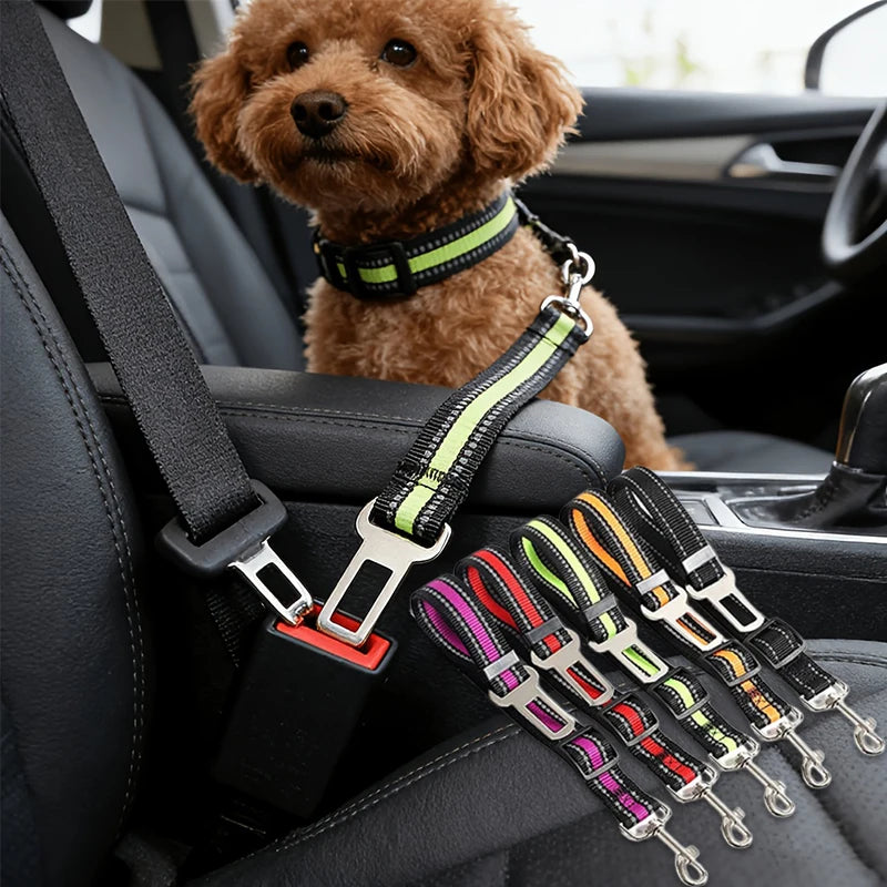 🐾 Paw Haven™ Travel Safety Belt