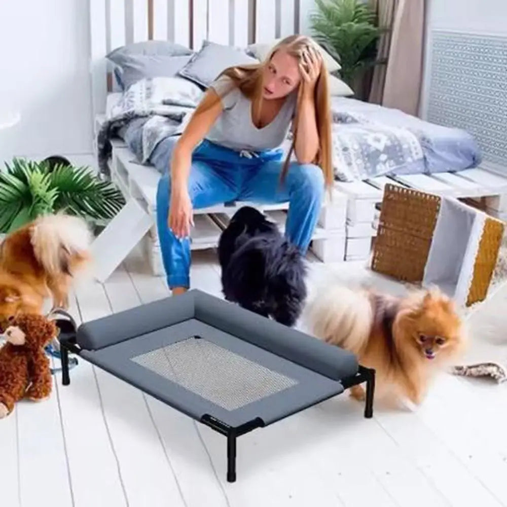 Paw Haven Elevated Pet Bed