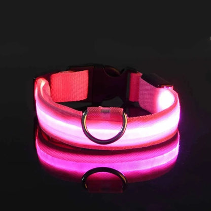 ✨ Paw Haven™ GlowGuard Collar