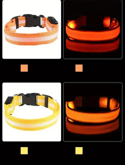 ✨ Paw Haven™ GlowGuard Collar