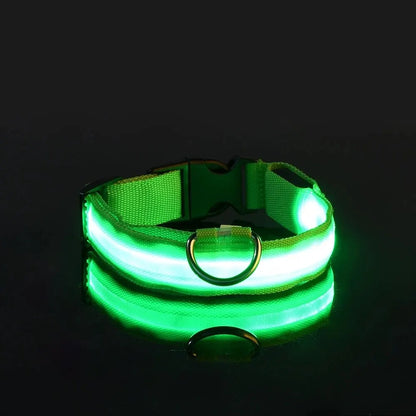 ✨ Paw Haven™ GlowGuard Collar