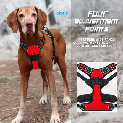 Paw Haven™ ReflectPro Harness