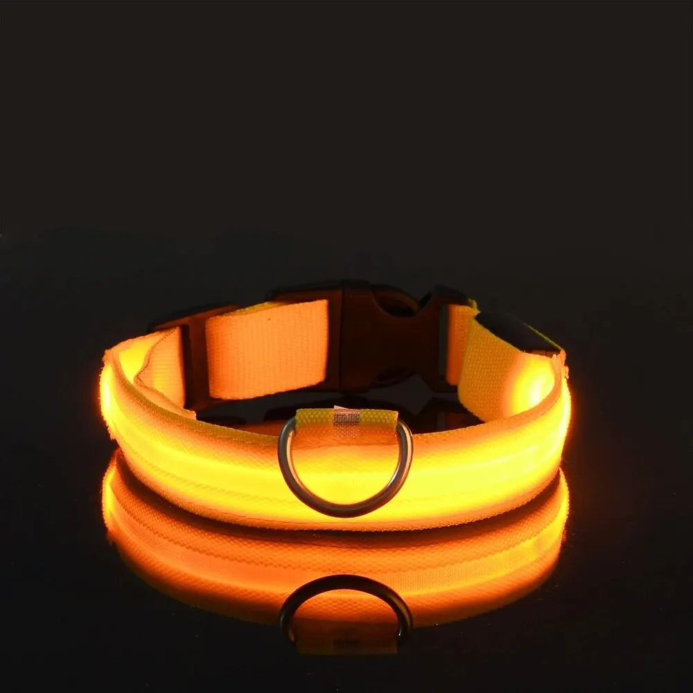 ✨ Paw Haven™ GlowGuard Collar